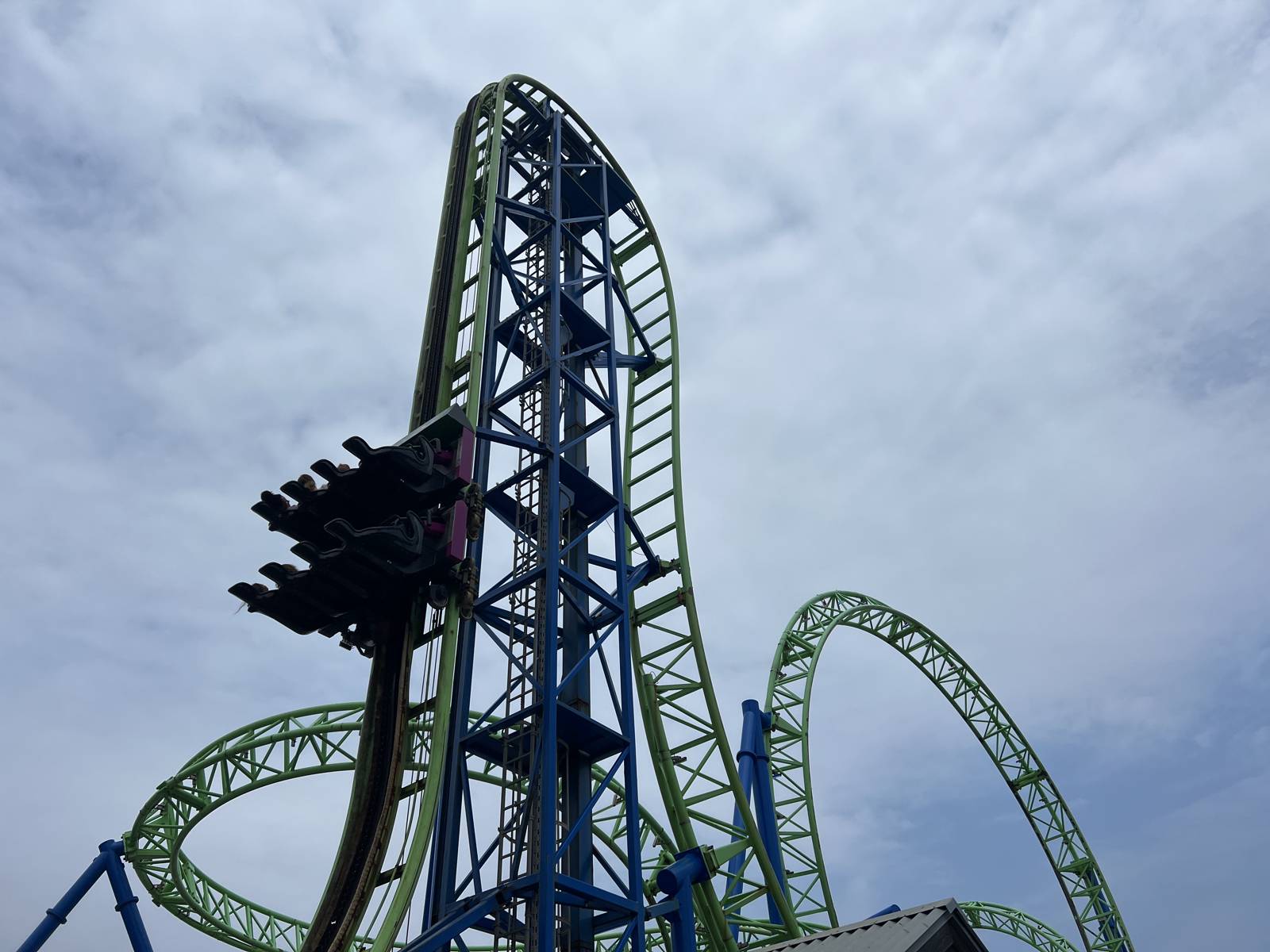 Hydrus Photo - 